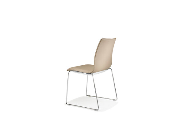 uni_verso chair on sled metal frame, plywood seat shell